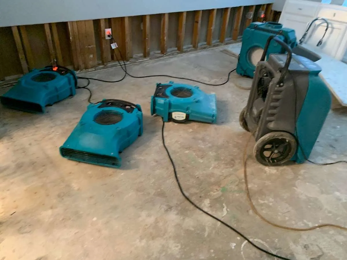 Water Damage Restoration services in Marysville, WA